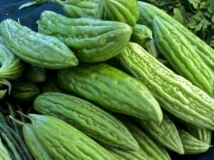 Manfaat Pare Untuk Kesehatan Tubuh 
